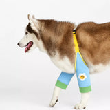 Dog Leg Cover for Year-Round Everyday Wear