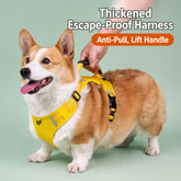 Nylon Dog Walking Harness