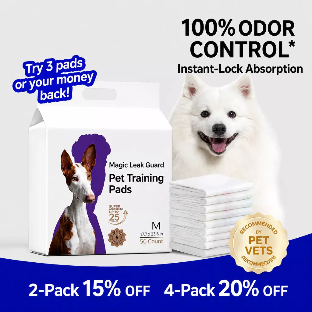 Absorbent Dog Training Pads for Indoor Potty Training