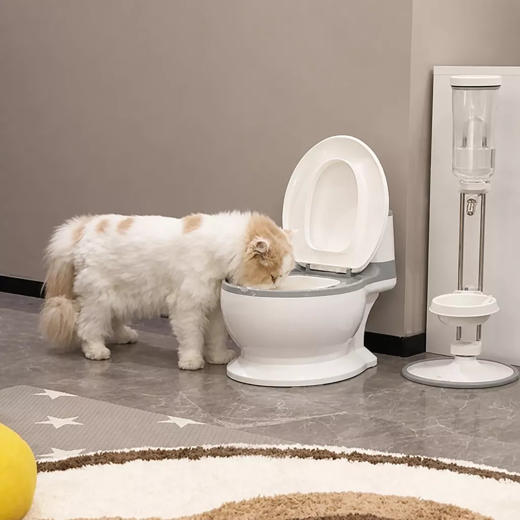 Wide-Mouth Toilet-Shaped Plastic Water Bowl for Cats