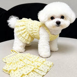 Cotton Pet Dress with Tiered Skirt