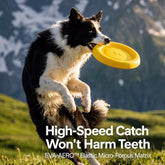 Floating Dog Flying Disc Toy for Fetch