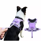Pet Harness Vest with Leash