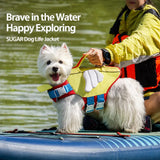 Dog Life Jacket for Swimming and Outdoor Adventures