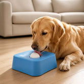 Pet Slow Feeder Bowl with Lick Ball and Water Dish