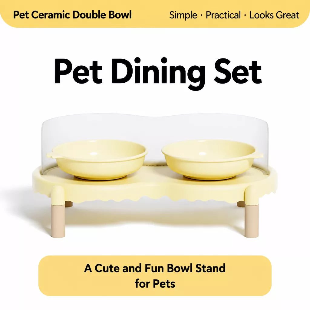 Elevated Ceramic Pet Bowl Set with a Double-Bowl Stand