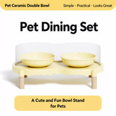 Elevated Ceramic Pet Bowl Set with a Double-Bowl Stand