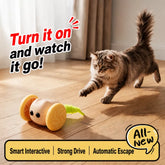 Rechargeable Interactive Cat Toy with Mouse and Car Designs