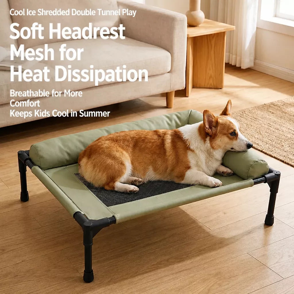Elevated Pet Cot with Removable, Washable Cover