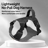 Lightweight Adjustable Nylon Dog Harness with Leash