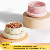 Ceramic Cat Water Bowl