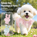 Female Dog Diaper Pants