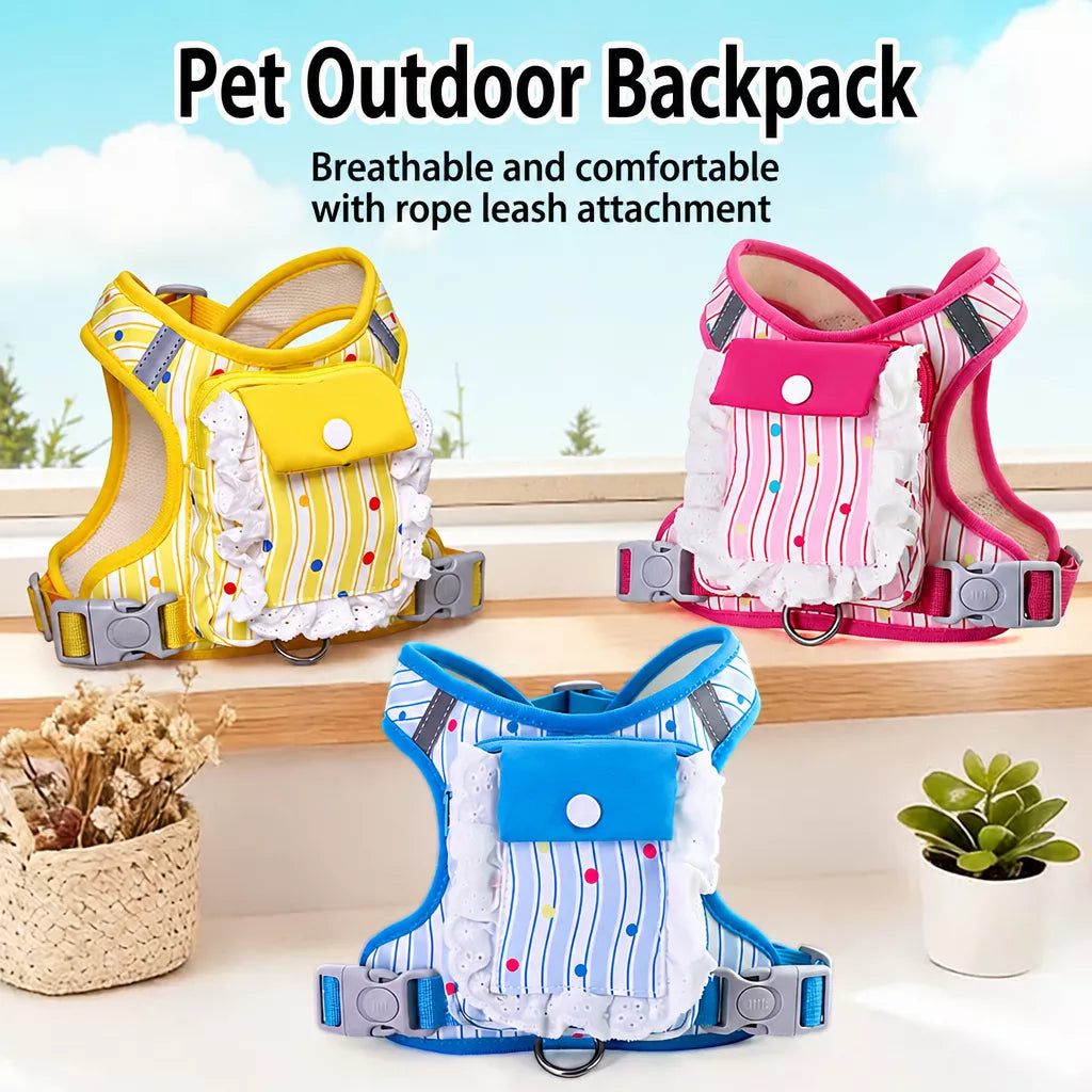 Vest-Style Harness and Leash Set for Small to Medium Dogs