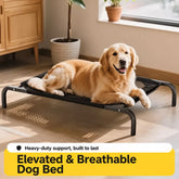 Elevated Mesh Dog Bed with Iron Frame