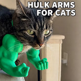3D-Printed Arm-Inspired Neck Accessory for Cats and Dogs