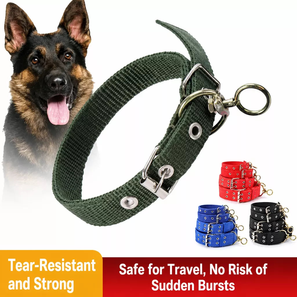 Nylon Dog Collar for Small to Large Dogs