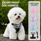 Dog Harness with 6.6-Ft Leash