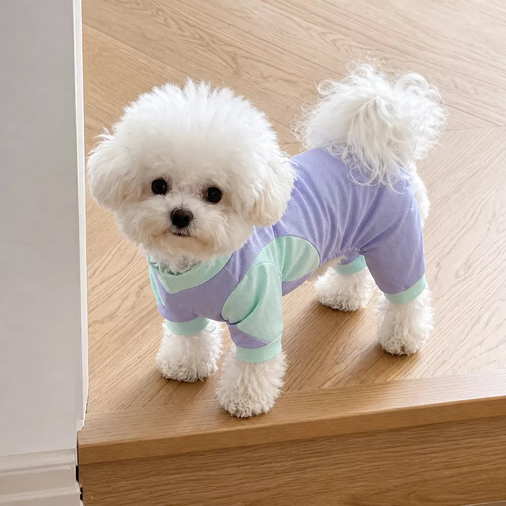 Lightweight Four-Leg Mesh Dog Shirt for Small & Medium Dogs