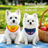 Dog Harness and Leash Set for Small to Medium Dogs