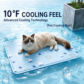 Pet Foam Bed with Nylon Cover