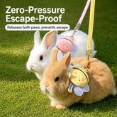 Nylon Rabbit Harness with Leash