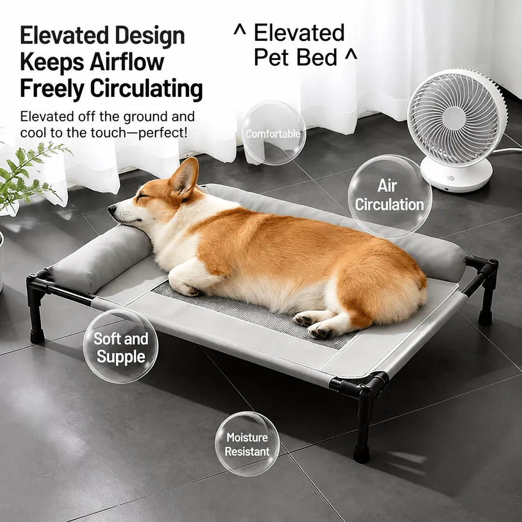Raised Dog Cot Bed with Iron Frame