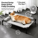 Raised Dog Cot Bed with Iron Frame