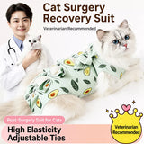 Cat Recovery Suit with Breathable Birdseye Mesh