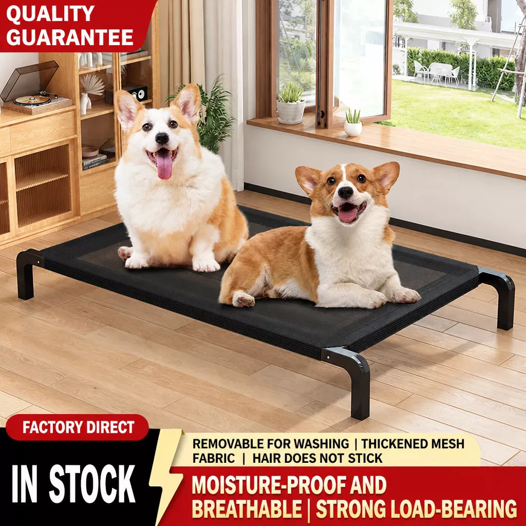 Raised Mesh Dog Cot with Iron Frame for Small to Large Dogs