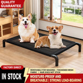 Raised Mesh Dog Cot with Iron Frame for Small to Large Dogs