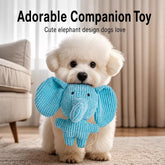 Plush Squeaky Dog Toy for Chewing & Interactive Play