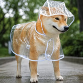 Transparent EVA Dog Raincoat with Hood