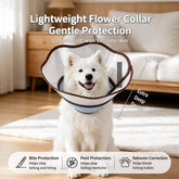 Plastic Elizabethan Cone Collar for Dogs