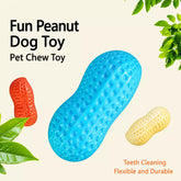 Squeaky Peanut-Shaped Dog Toy