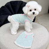 Pet Tank Tops and Strappy Dresses