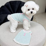 Pet Tank Tops and Strappy Dresses