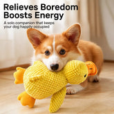 Plush Squeaky Duck Toy for Pets