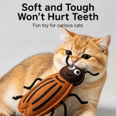 Catnip Insect Toys with Bells for Cats