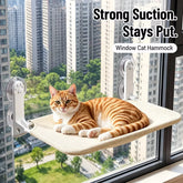 Suction Cup Cat Window Hammock