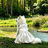 Formal Dress for Large Dogs