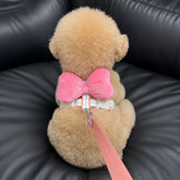 Small Dog Harness & Leash