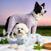Breathable Mesh Four-Leg Dog Jumpsuit