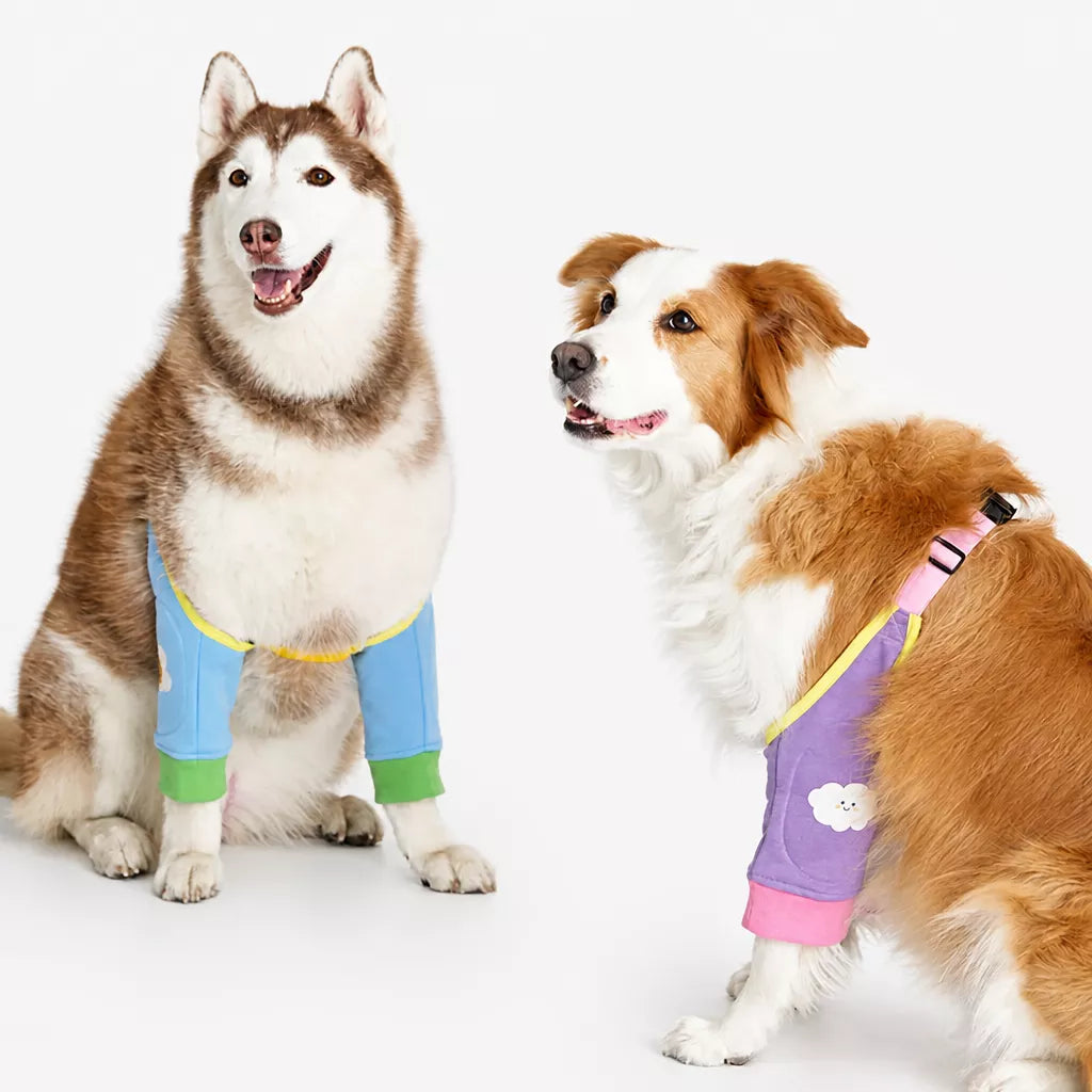 Dog Leg Cover for Year-Round Everyday Wear