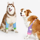 Dog Leg Cover for Year-Round Everyday Wear