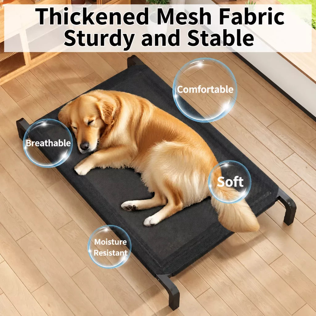 Raised Mesh Dog Cot with Iron Frame for Small to Large Dogs