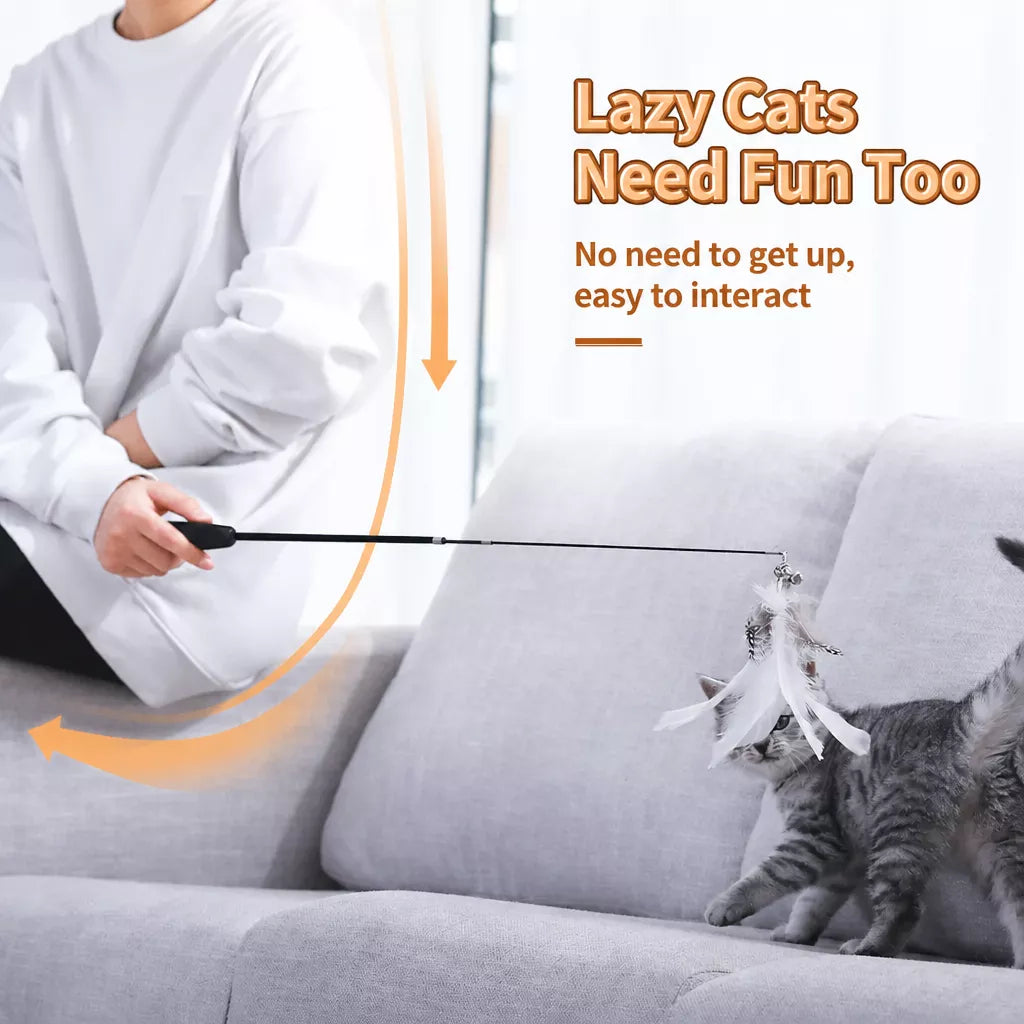 Cat Teaser Wand with Interchangeable Feather Attachments