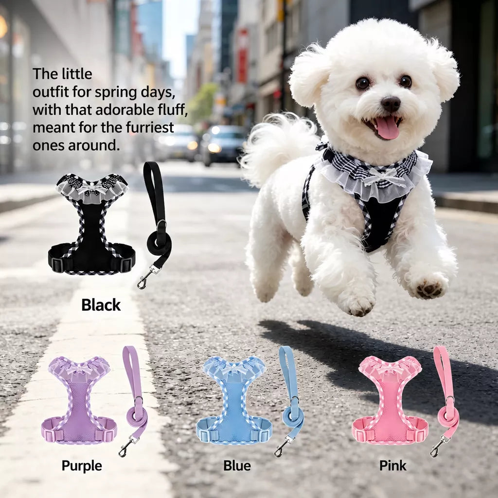 Dog Harness with 6.6-Ft Leash