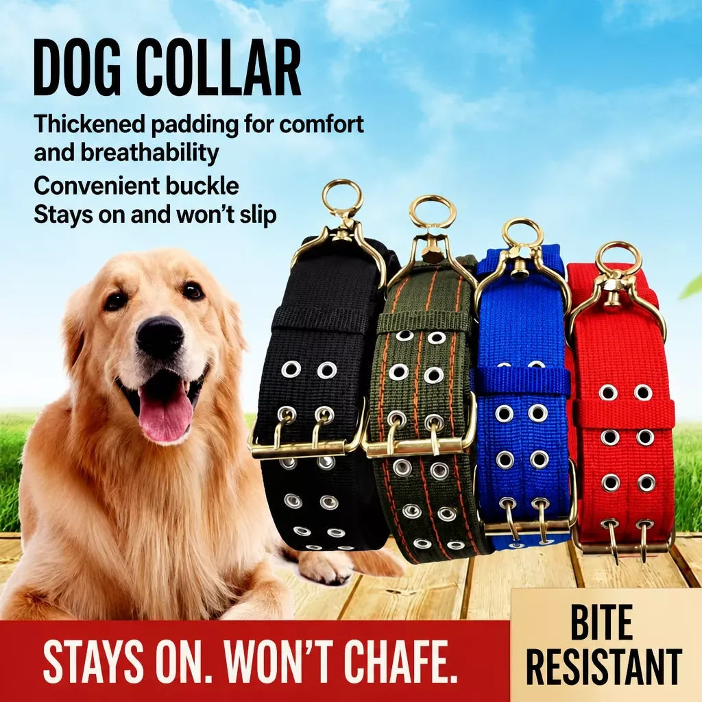 Adjustable Nylon Dog Collar