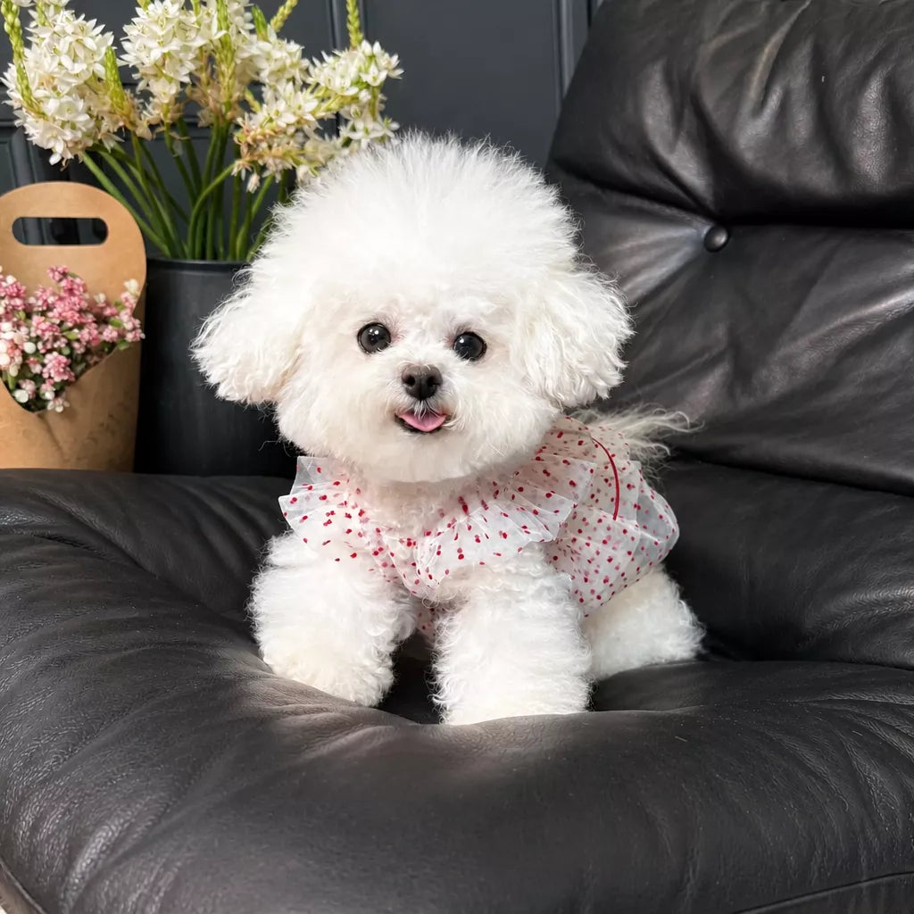 Red Polka-Dot Pet Dress with Leash Ring for Dogs and Cats