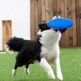 Floating Dog Flying Disc Toy for Fetch and Training